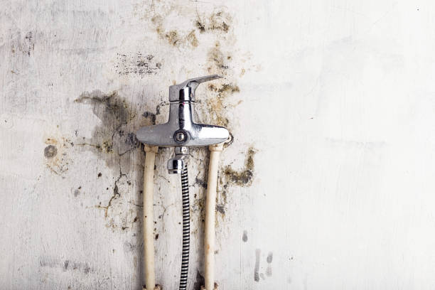 Professional Mold Remediation in Whitney Point, NY