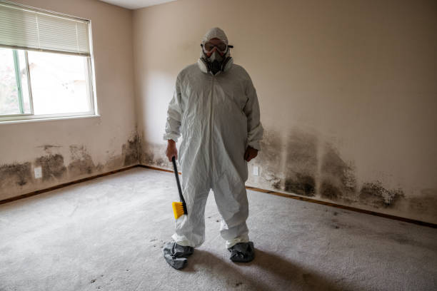 Trusted Whitney Point, NY Mold Remediation Experts